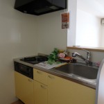 DSC01954