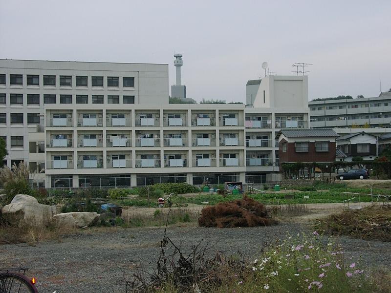 ライブタウン近見